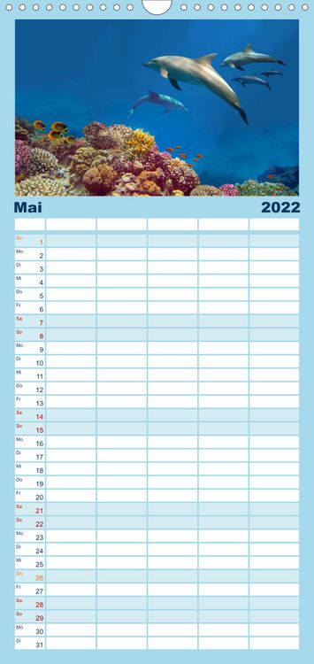 Produktbild: Riffleben - Einfach mal abtauchen - Familienplaner hoch (Wandkalender 2022 , 21 cm x 45 cm, hoch)