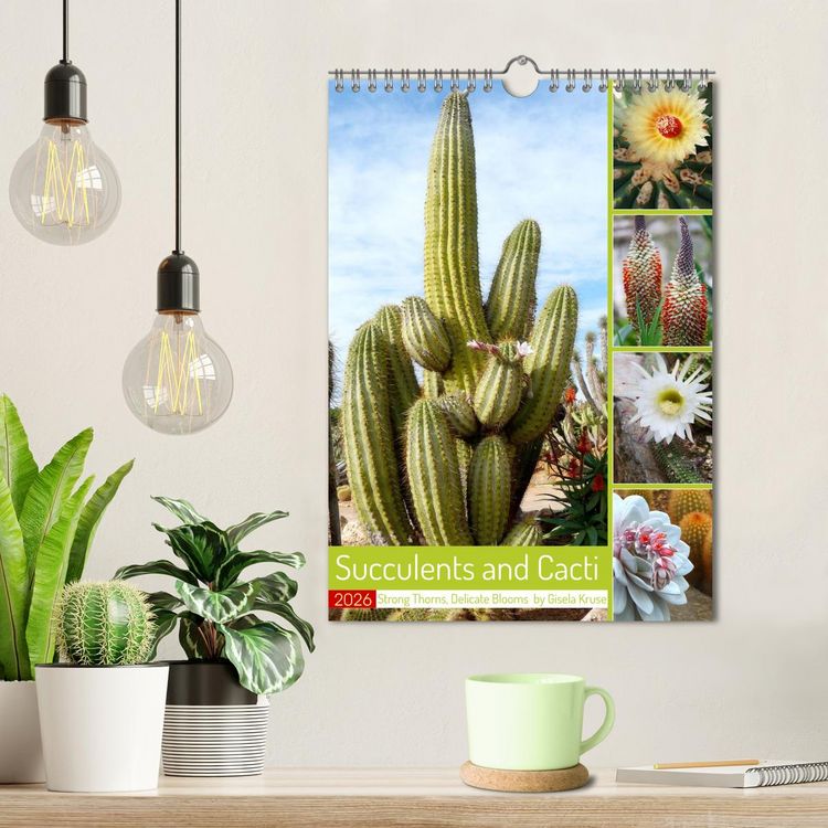 Produktbild: Succulents and Cacti - Strong Thorns, Delicate Blooms (Wall Calendar 2026 DIN A4 portrait), CALVENDO 12 Month Wall Calendar