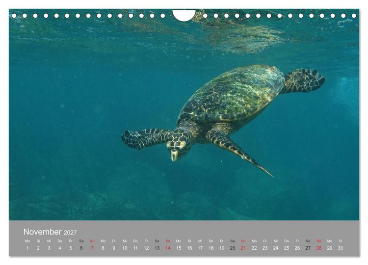 Produktbild: Seychellen (Wandkalender 2027 DIN A4 quer), CALVENDO Monatskalender