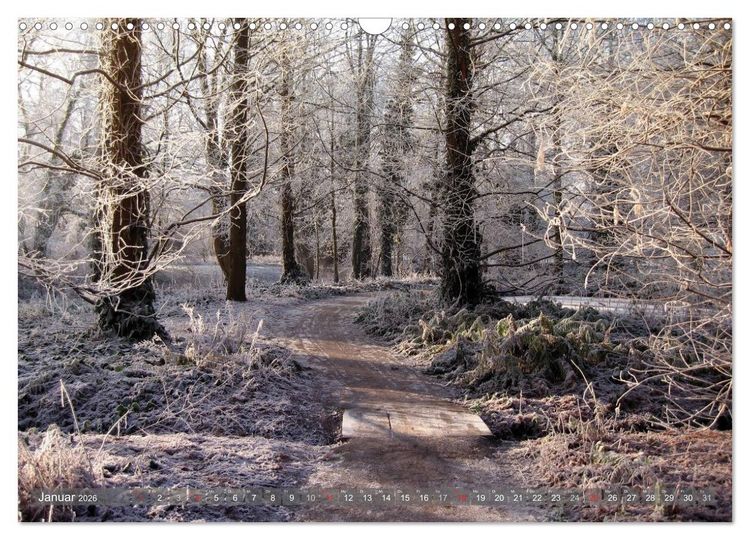 Produktbild: Impressionen aus Grevenbroich (Wandkalender 2026 DIN A3 quer), CALVENDO Monatskalender