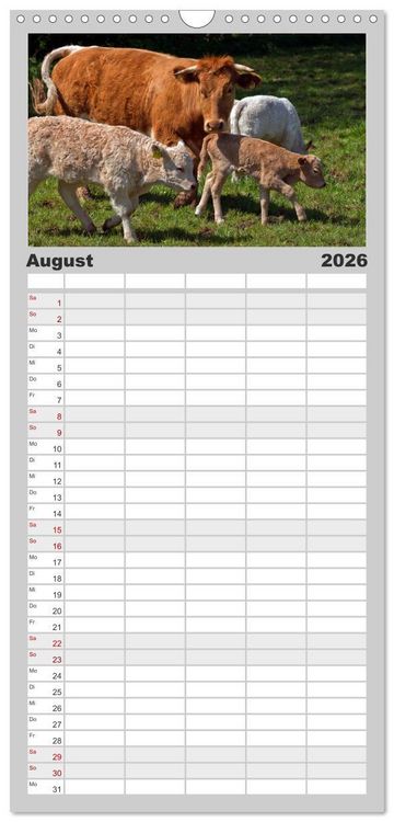 Produktbild: Familienplaner 2026 - Kuh und Co. mit 5 Spalten (Wandkalender, 21 x 45 cm) CALVENDO