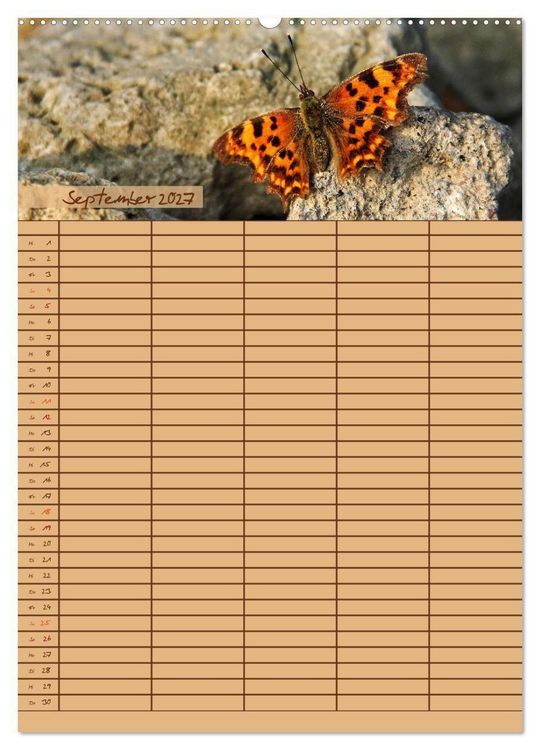 Produktbild: Tierischer Familienplaner (Wandkalender 2027 DIN A2 hoch), CALVENDO Monatskalender