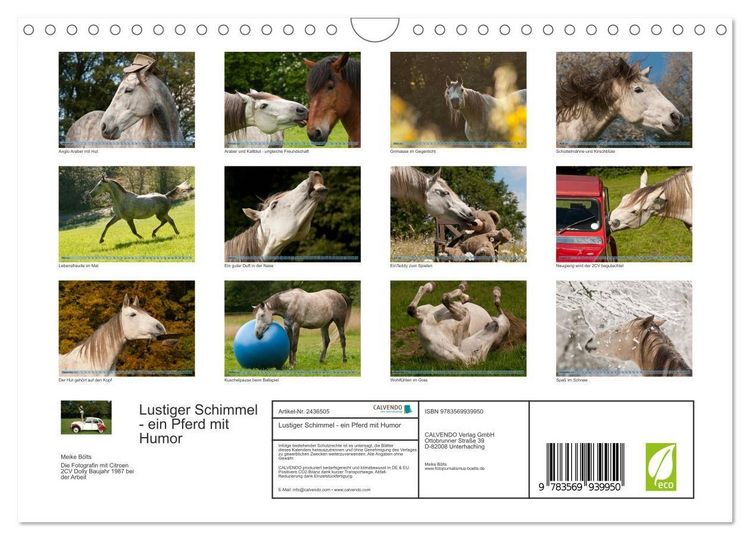 Produktbild: Lustiger Schimmel - ein Pferd mit Humor (Wandkalender 2027 DIN A4 quer), CALVENDO Monatskalender