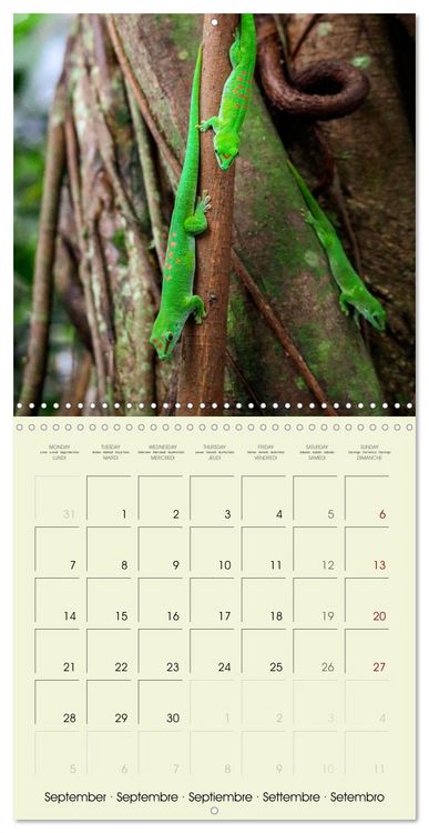 Produktbild: Les merveilles du monde les reptiles (Calendrier mural carr&eacute; 2026 30x30 cm) Calendrier double avec une page pour vos prises de notes