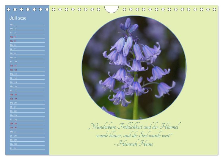 Produktbild: Flora in royalem Blau (Wandkalender 2026 DIN A4 quer), CALVENDO Monatskalender
