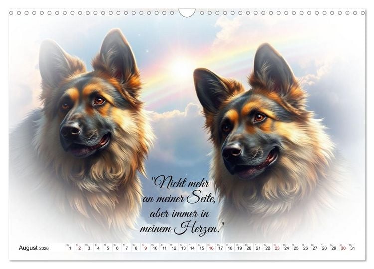 Produktbild: Hunde &uuml;ber der Regenbogenbr&uuml;cke (Wandkalender 2026 DIN A3 quer), CALVENDO Monatskalender