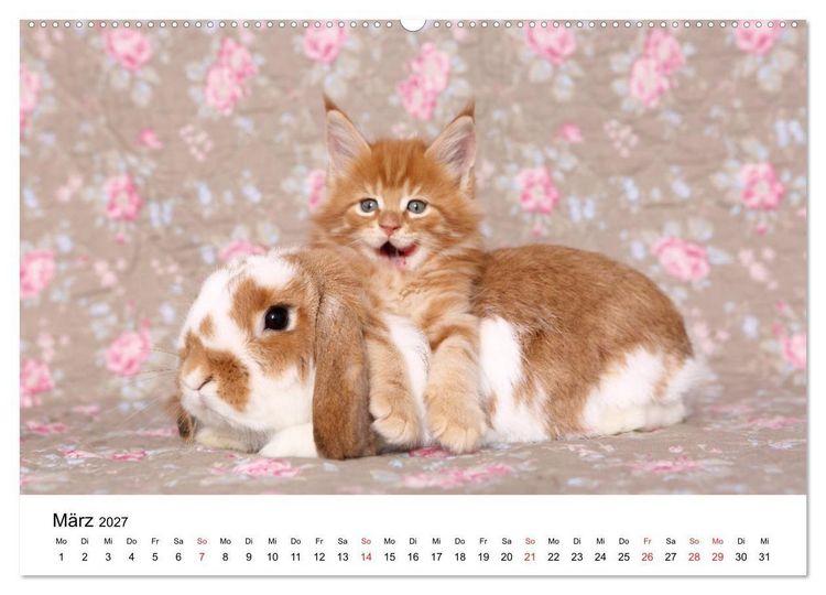 Produktbild: lach mit...just smile (hochwertiger Premium Wandkalender 2027 DIN A2 quer), Kunstdruck in Hochglanz