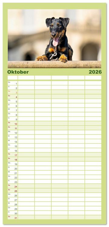 Produktbild: Familienplaner 2026 - Deutscher Terrier - ein leidenschaftlicher J&auml;ger mit 5 Spalten (Wandkalender, 21 x 45 cm) CALVENDO