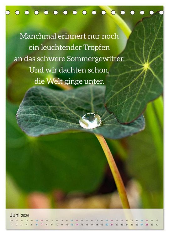 Produktbild: Manchmal - Poetische Momentaufnahmen (Tischkalender 2026 DIN A5 hoch), CALVENDO Monatskalender