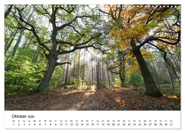 Produktbild: Altmarkliebe (Wandkalender 2026 DIN A3 quer), CALVENDO Monatskalender