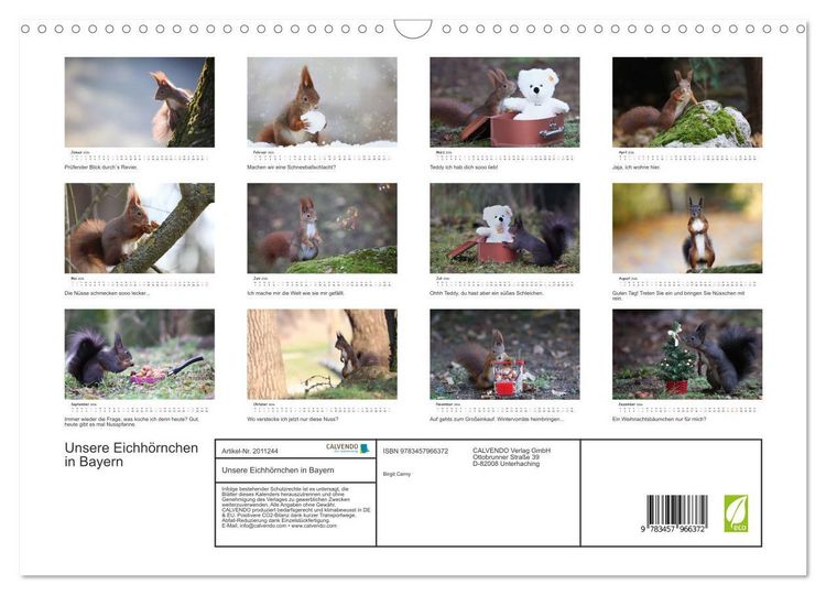 Produktbild: Unsere Eichh&ouml;rnchen in Bayern (Wandkalender 2026 DIN A3 quer), CALVENDO Monatskalender