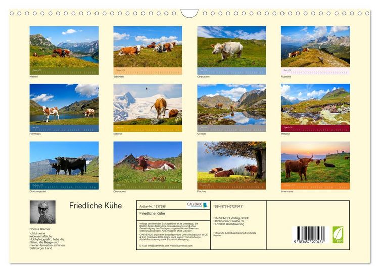 Produktbild: Friedliche K&uuml;he (Wandkalender 2026 DIN A3 quer), CALVENDO Monatskalender