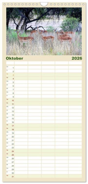 Produktbild: Familienplaner 2026 - Roadtrip in Namibia mit 5 Spalten (Wandkalender, 21 x 45 cm) CALVENDO