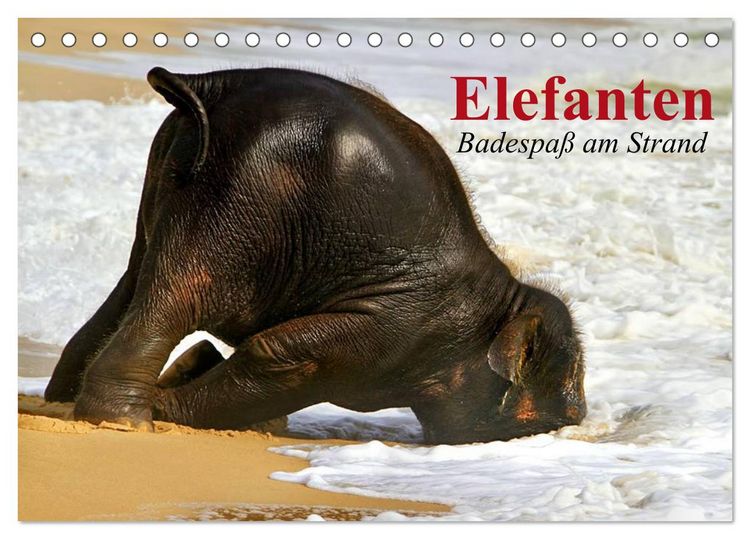 Produktbild: Elefanten. Badespa&szlig; am Strand (Tischkalender 2026 DIN A5 quer), CALVENDO Monatskalender