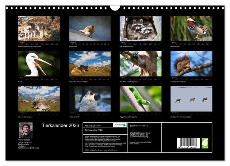 Produktbild: Tierkalender 2026 (Wandkalender 2026 DIN A3 quer), CALVENDO Monatskalender