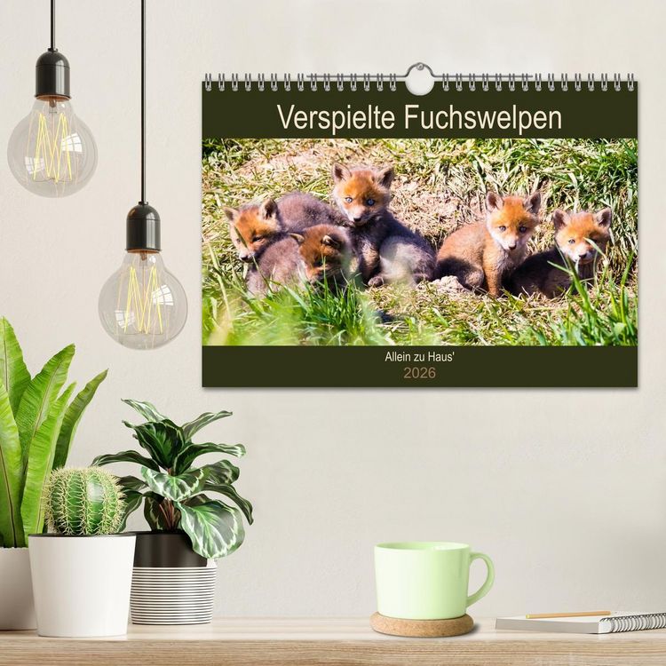 Produktbild: Verspielte Fuchswelpen - Allein zu Haus' (Wandkalender 2026 DIN A4 quer), CALVENDO Monatskalender