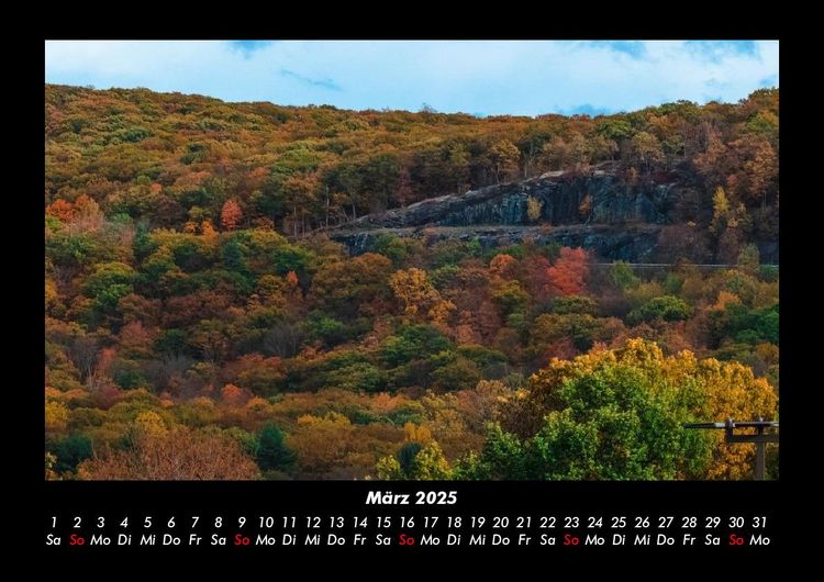 Produktbild: B&auml;ume 2025 Fotokalender DIN A3