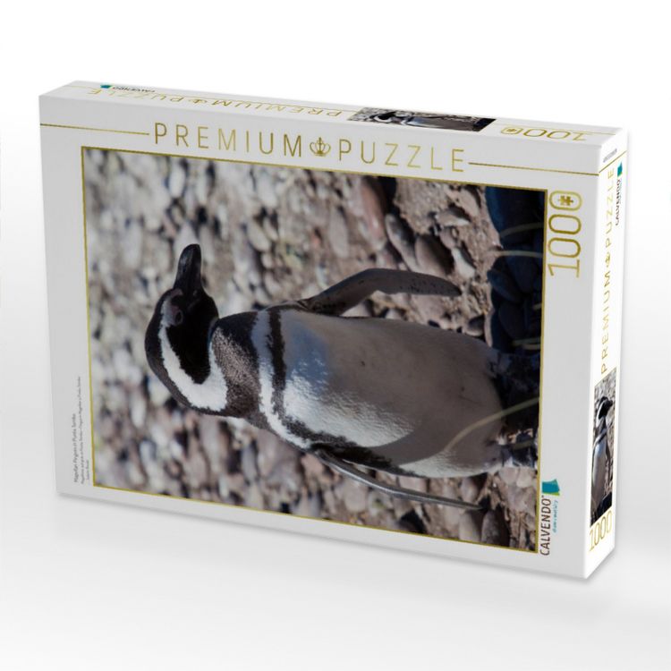 Produktbild: CALVENDO Puzzle Magellan Pinguin in Punta Tombo | 1000 Teile Lege-Gr&ouml;&szlig;e 64x48cm Foto-Puzzle f&uuml;r gl&uuml;ckliche Stunden