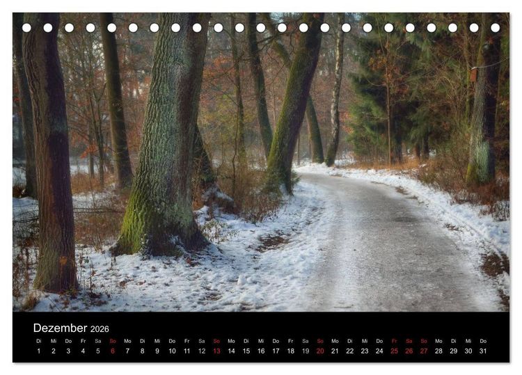 Produktbild: Waldkalender (Tischkalender 2026 DIN A5 quer), CALVENDO Monatskalender