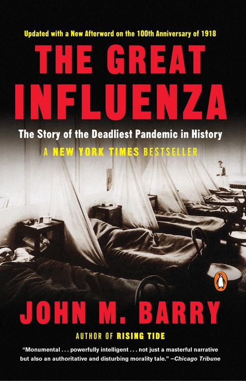 Produktbild: The Great Influenza