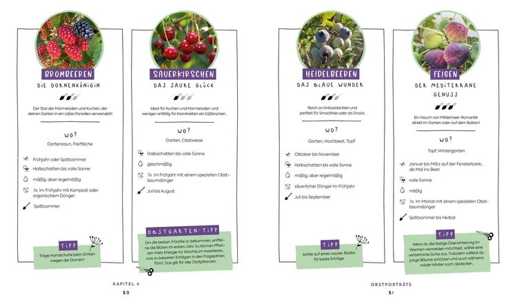 Produktbild: In Null Komma Gr&uuml;n &ndash;&nbsp;Einfach g&auml;rtnern mit Raphy von gruenesparadies
