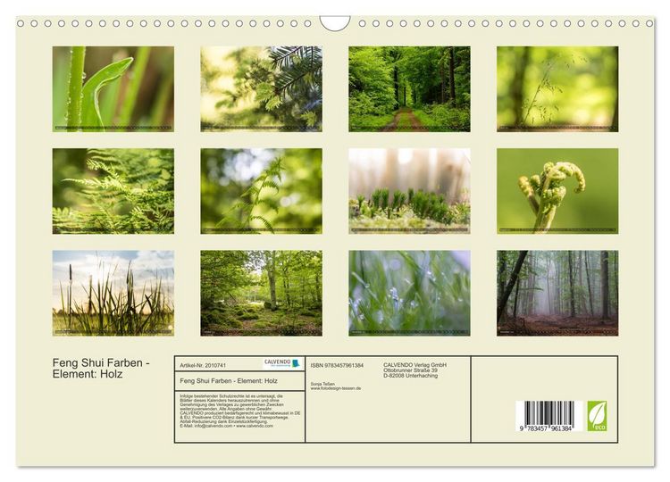 Produktbild: Feng Shui Farben - Element: Holz (Wandkalender 2026 DIN A3 quer), CALVENDO Monatskalender