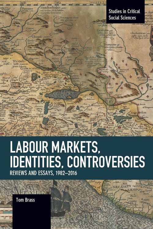 Produktbild: Labour Markets, Identities, Controversies