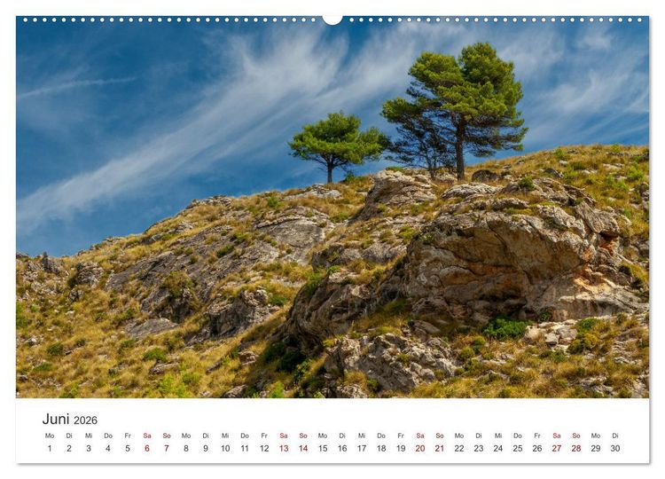 Produktbild: B&auml;ume - Gelebtes Leben (hochwertiger Premium Wandkalender 2026 DIN A2 quer), Kunstdruck in Hochglanz