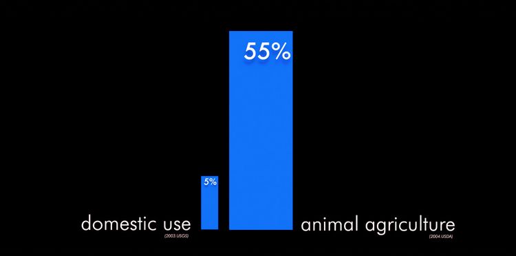 Produktbild: Cowspiracy - Das Geheimnis der Nachhaltigkeit