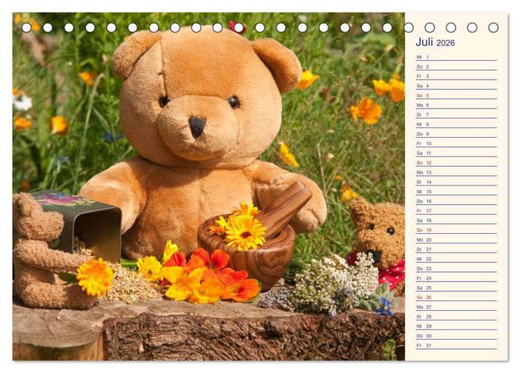 Produktbild: Geliebte B&auml;ren - Teddys (Tischkalender 2026 DIN A5 quer), CALVENDO Monatskalender
