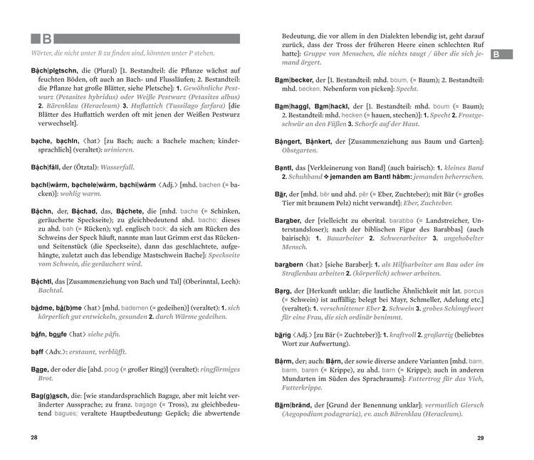Das Radio Tirol-Wörterbuch der Tiroler Mundarten
