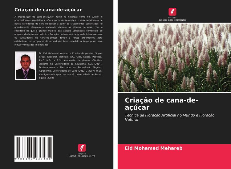 Produktbild: Cria&ccedil;&atilde;o de cana-de-a&ccedil;&uacute;car