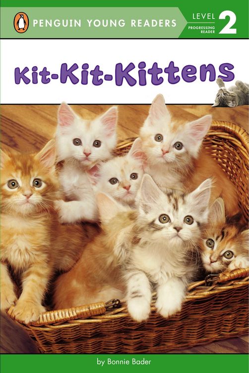 Produktbild: Kit-Kit-Kittens
