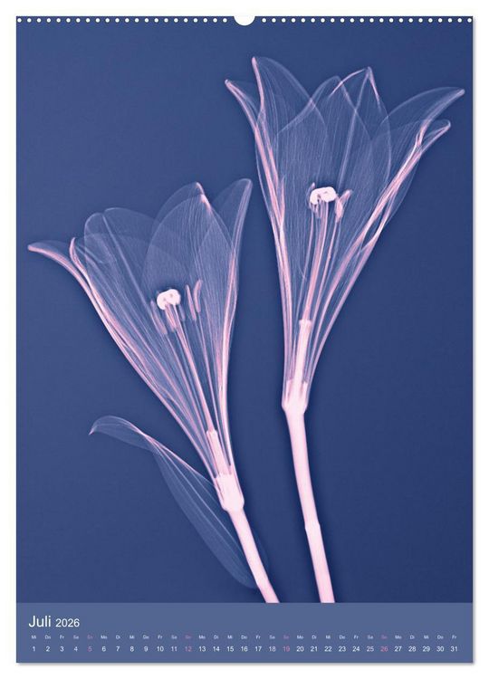 Produktbild: Durchleuchtete Blumenwelt 2026 (hochwertiger Premium Wandkalender 2026 DIN A2 hoch), Kunstdruck in Hochglanz