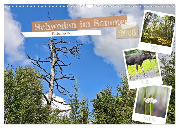 Produktbild: Schweden im Sommer (Wandkalender 2026 DIN A3 quer), CALVENDO Monatskalender