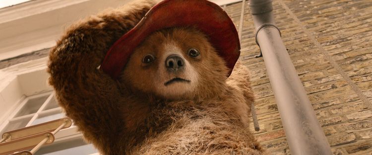 Produktbild: Paddington 2 (4K Ultra-HD) (+ Blu-ray)