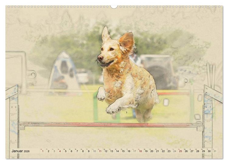 Produktbild: Golden Retriever 2026 (hochwertiger Premium Wandkalender 2026 DIN A2 quer), Kunstdruck in Hochglanz