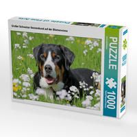 Produktbild: CALVENDO Puzzle Gro&szlig;er Schweizer Sennenhund auf der Blumenwiese 1000 Teile Lege-Gr&ouml;&szlig;e 64 x 48 cm Foto-Puzzle Bild von SchnelleWelten