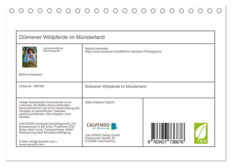Produktbild: D&uuml;lmener Wildpferde im M&uuml;nsterland (Tischkalender 2026 DIN A5 quer), CALVENDO Monatskalender