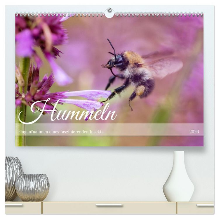 Produktbild: Hummeln - Flugaufnahmen eines faszinierenden Insekts (hochwertiger Premium Wandkalender 2026 DIN A2 quer), Kunstdruck in Hochglanz