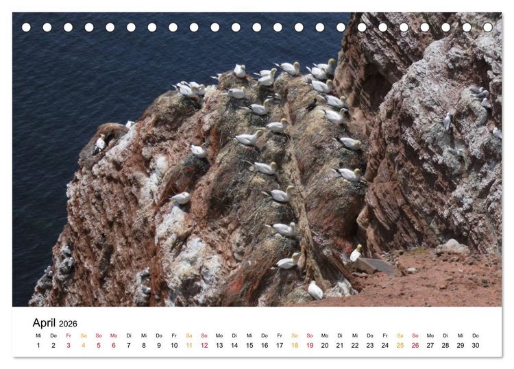Produktbild: Helgoland Kalender (Tischkalender 2026 DIN A5 quer), CALVENDO Monatskalender