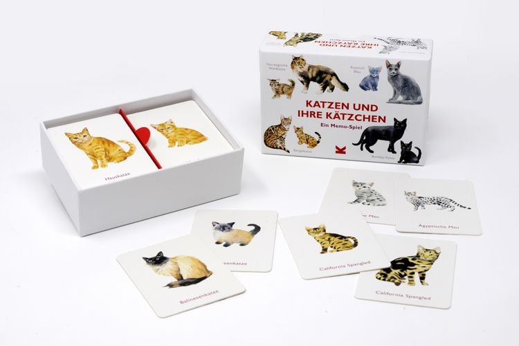Produktbild: Katzen und ihre K&auml;tzchen