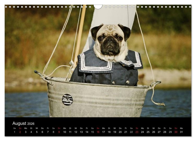Produktbild: Der MOPS-Kalender (Wandkalender 2026 DIN A3 quer), CALVENDO Monatskalender