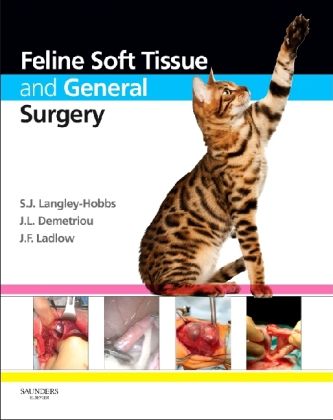 Produktbild: Feline Soft Tissue and General Surgery