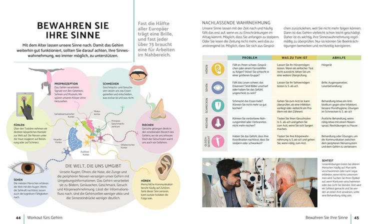 Produktbild: So bleibt Ihr Gehirn fit