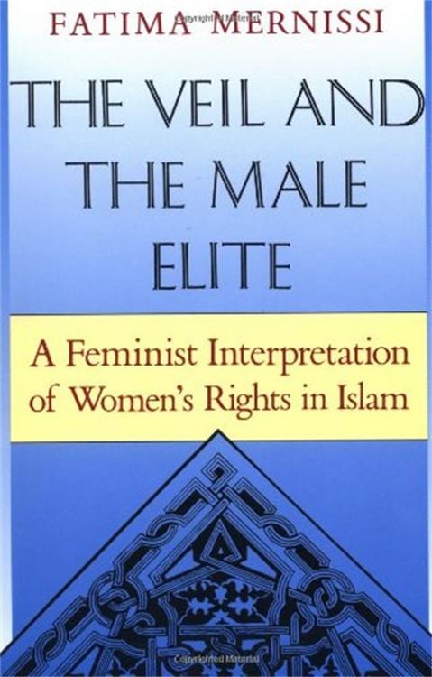 Produktbild: The Veil and the Male Elite