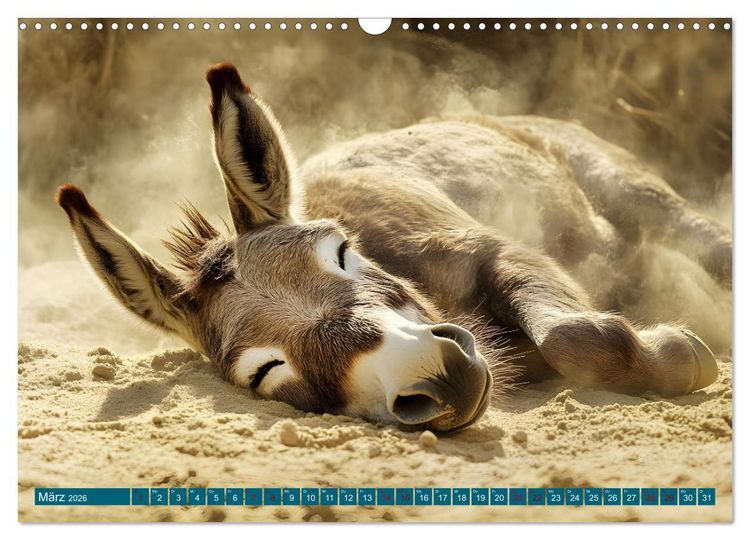 Produktbild: Plitsch, Platsch, tierisch nass (Wandkalender 2026 DIN A3 quer), CALVENDO Monatskalender