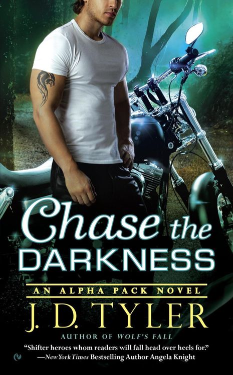 Produktbild: Chase the Darkness