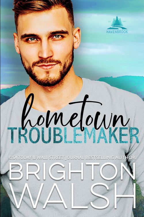 Produktbild: Hometown Troublemaker (Havenbrook, #2)
