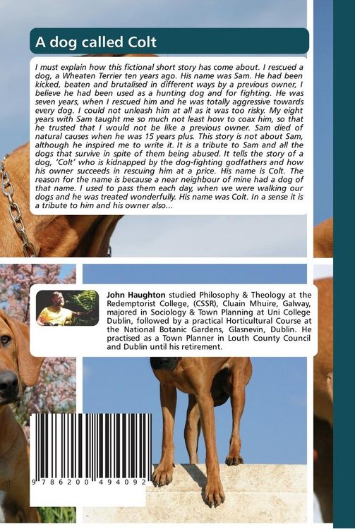 Produktbild: A dog called Colt